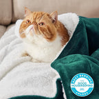 Bedsure GentleSoft Sherpa Fleece Throw Blanket Twin Size for Couch - Thick and Warm, Soft Fuzzy Plush Twin Christmas Blanket for Winter, Forest Green, 60x80 Inches