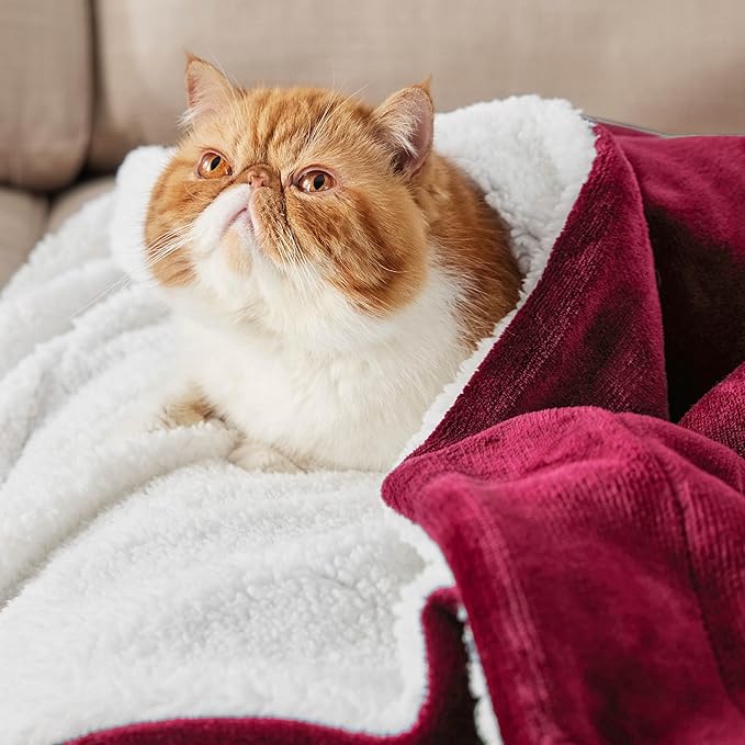 Bedsure GentleSoft Sherpa Fleece Throw Blanket Twin Size for Couch - Thick and Warm Throw for Women, Soft Fuzzy Plush Twin Christmas Blanket for Winter, Red, 60x80 Inches