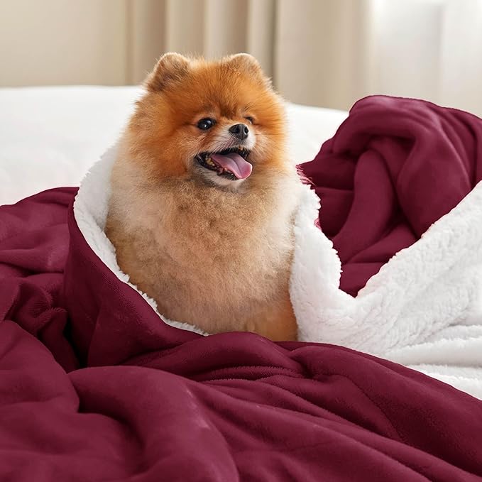 Bedsure GentleSoft Sherpa Fleece Throw Blanket Twin Size for Couch - Thick and Warm Throw for Women, Soft Fuzzy Plush Twin Christmas Blanket for Winter, Burgundy, 60x80 Inches
