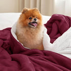 Bedsure GentleSoft Sherpa Fleece Throw Blanket for Couch - Thick and Warm Throw for Women, Soft Fuzzy Plush Christmas Blanket for Winter, Burgundy, 50x60 Inches