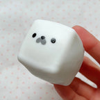 Crunchy Seal Pup