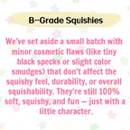 Misfit & B-Grade Squishies